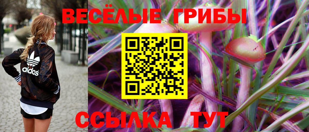 Галлюциногенные грибы MAGIC MUSHROOMS  Вход с VPN  Чусовой 