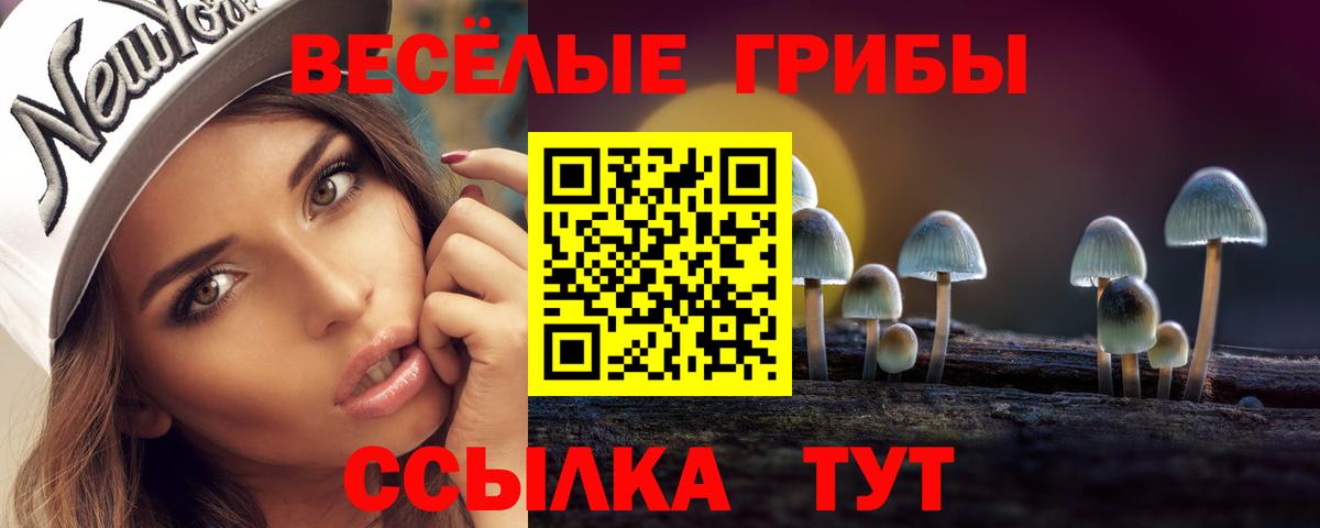 Псилоцибиновые грибы MAGIC MUSHROOMS Чусовой